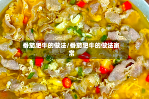 番茄肥牛的做法/番茄肥牛的做法家常