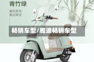 畅销车型/雅迪畅销车型