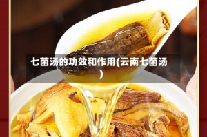 七菌汤的功效和作用(云南七菌汤)