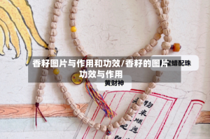 香籽图片与作用和功效/香籽的图片功效与作用