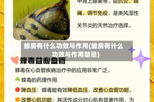 蜂房有什么功效与作用(蜂房有什么功效与作用禁忌)