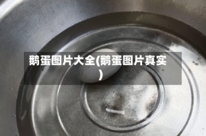 鹅蛋图片大全(鹅蛋图片真实)