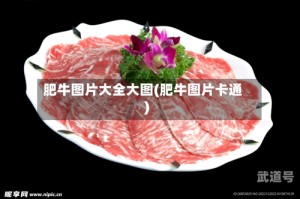肥牛图片大全大图(肥牛图片卡通)
