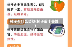 柿子有什么功效(柿子前十害处)