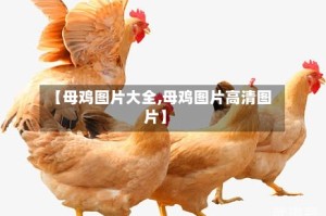 【母鸡图片大全,母鸡图片高清图片】