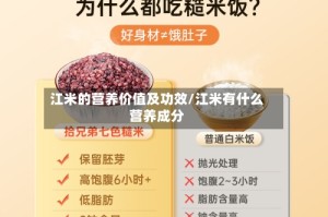 江米的营养价值及功效/江米有什么营养成分
