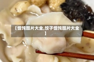 【馄饨图片大全,饺子馄饨图片大全】
