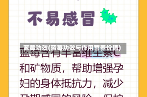 蓝莓功效(蓝莓功效与作用营养价值)