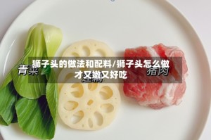 狮子头的做法和配料/狮子头怎么做才又嫩又好吃