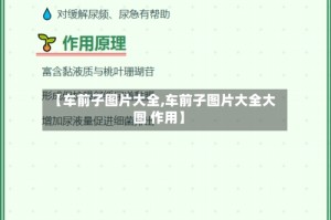 【车前子图片大全,车前子图片大全大图 作用】