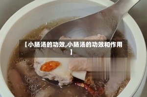 【小肠汤的功效,小肠汤的功效和作用】