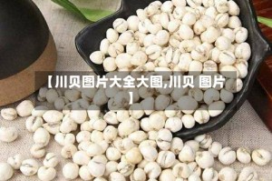 【川贝图片大全大图,川贝 图片】