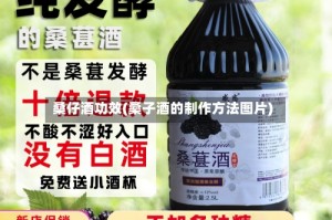 桑仔酒功效(桑子酒的制作方法图片)