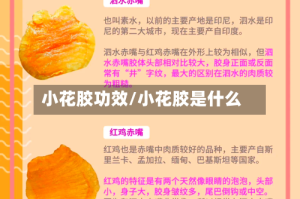 小花胶功效/小花胶是什么