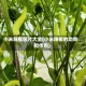 小米辣椒图片大全(小米辣椒的功效和作用)