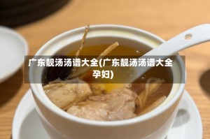 广东靓汤汤谱大全(广东靓汤汤谱大全孕妇)