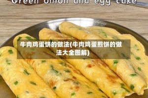 牛肉鸡蛋饼的做法(牛肉鸡蛋煎饼的做法大全图解)