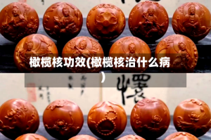橄榄核功效(橄榄核治什么病)