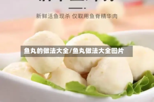 鱼丸的做法大全/鱼丸做法大全图片