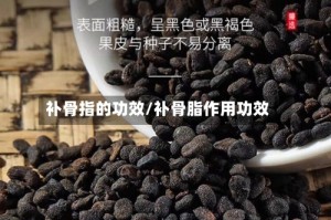 补骨指的功效/补骨脂作用功效