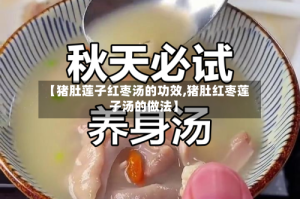 【猪肚莲子红枣汤的功效,猪肚红枣莲子汤的做法】