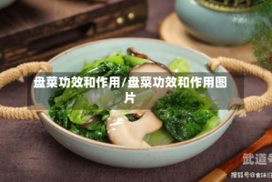 盘菜功效和作用/盘菜功效和作用图片
