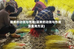 蒜黄的功效与作用(蒜黄的功效与作用及食用方法)