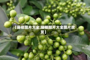 【藤椒图片大全,藤椒图片大全图片欣赏】