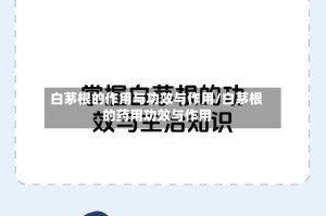 白茅根的作用与功效与作用/白茅根的药用功效与作用