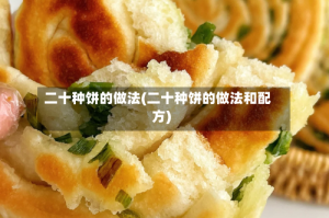 二十种饼的做法(二十种饼的做法和配方)