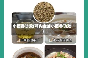 小茴香功效(鸡内金加小茴香功效)