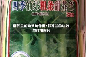 野芥兰的功效与作用/野芥兰的功效与作用图片