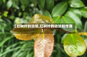 【红树叶的功效,红树叶的功效和作用】