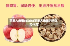 苹果大米粥的功效(苹果大米粥的功效和作用)
