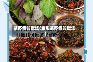 紫苏酱的做法(自制紫苏酱的做法)