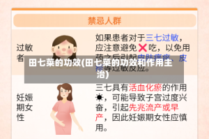 田七菜的功效(田七菜的功效和作用主治)