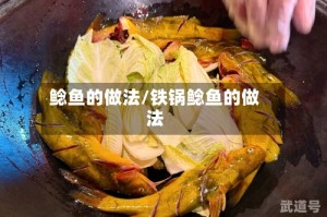 鲶鱼的做法/铁锅鲶鱼的做法