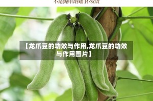 【龙爪豆的功效与作用,龙爪豆的功效与作用图片】
