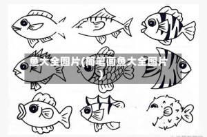 鱼大全图片(简笔画鱼大全图片)