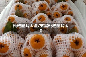 枇杷图片大全/五星枇杷图片大全