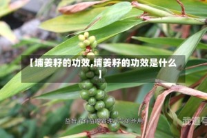 【埔姜籽的功效,埔姜籽的功效是什么】