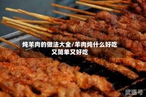 炖羊肉的做法大全/羊肉炖什么好吃又简单又好吃
