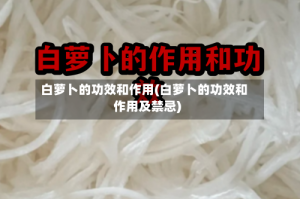 白萝卜的功效和作用(白萝卜的功效和作用及禁忌)