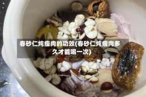 春砂仁炖瘦肉的功效(春砂仁炖瘦肉多久才能喝一次)