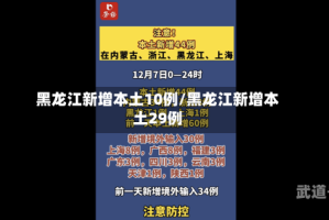 黑龙江新增本土10例/黑龙江新增本土29例