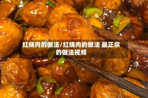 红烧肉的做法/红烧肉的做法 最正宗的做法视频