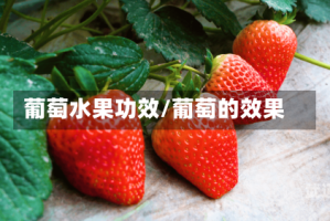 葡萄水果功效/葡萄的效果