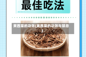黄西菜的功效(黄西菜的功效与禁忌)