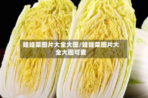 娃娃菜图片大全大图/娃娃菜图片大全大图可爱