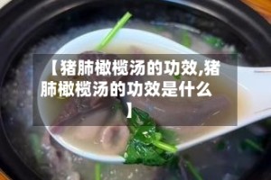 【猪肺橄榄汤的功效,猪肺橄榄汤的功效是什么】